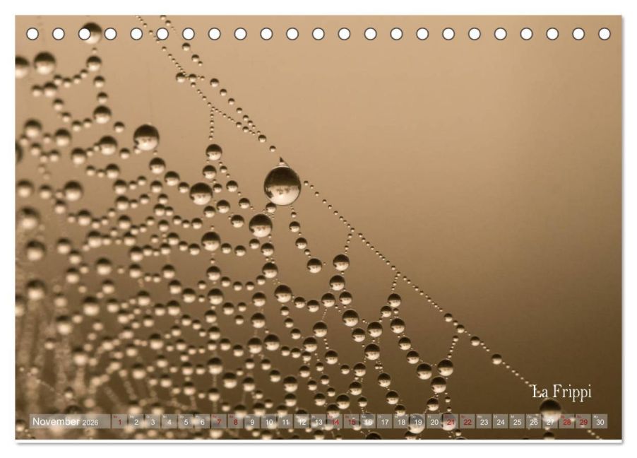 InsideView 3