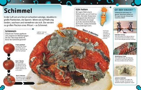 InsideView 5