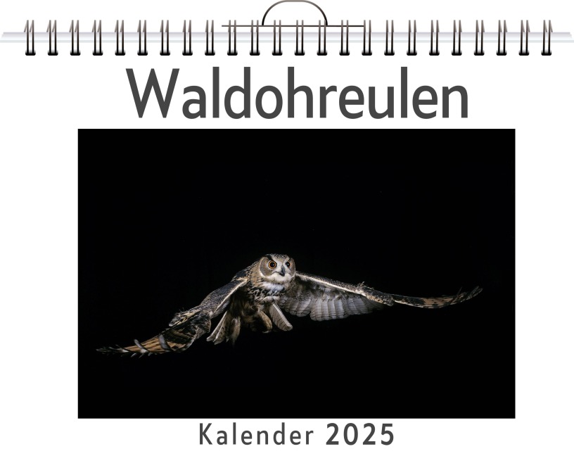 Waldohreulen - Oliver Schäfer