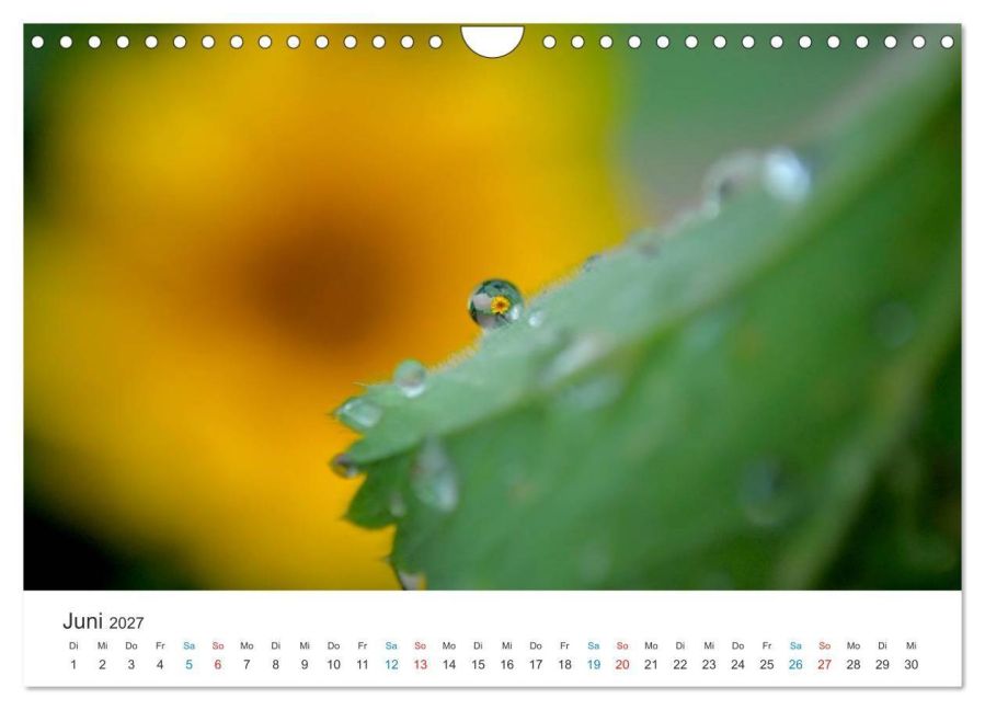 InsideView 11