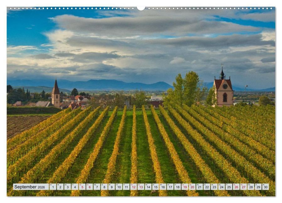 InsideView 14
