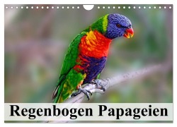 Regenbogen Papageien (Wandkalender 2026 DIN A4 quer), CALVENDO Monatskalender - Elisabeth Stanzer