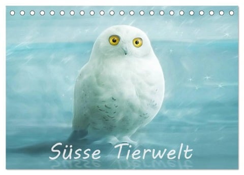 Süsse Tierwelt / Geburtstagskalender (Tischkalender 2024 DIN A5 quer), CALVENDO Monatskalender - Silvio Schoisswohl