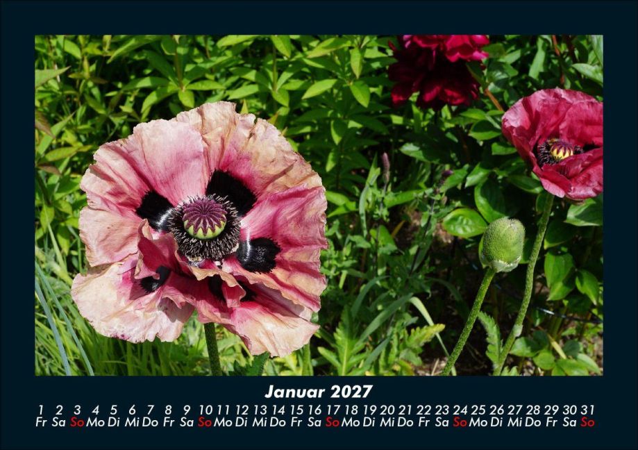 InsideView 5
