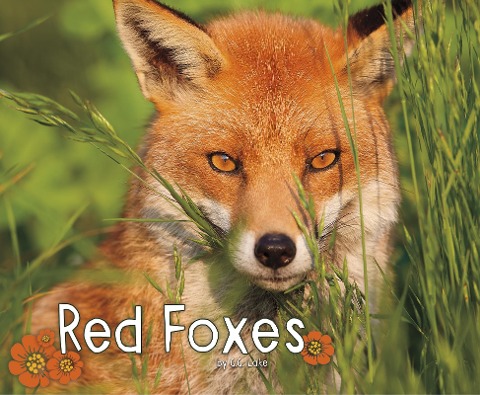 Red Foxes - G. G. Lake
