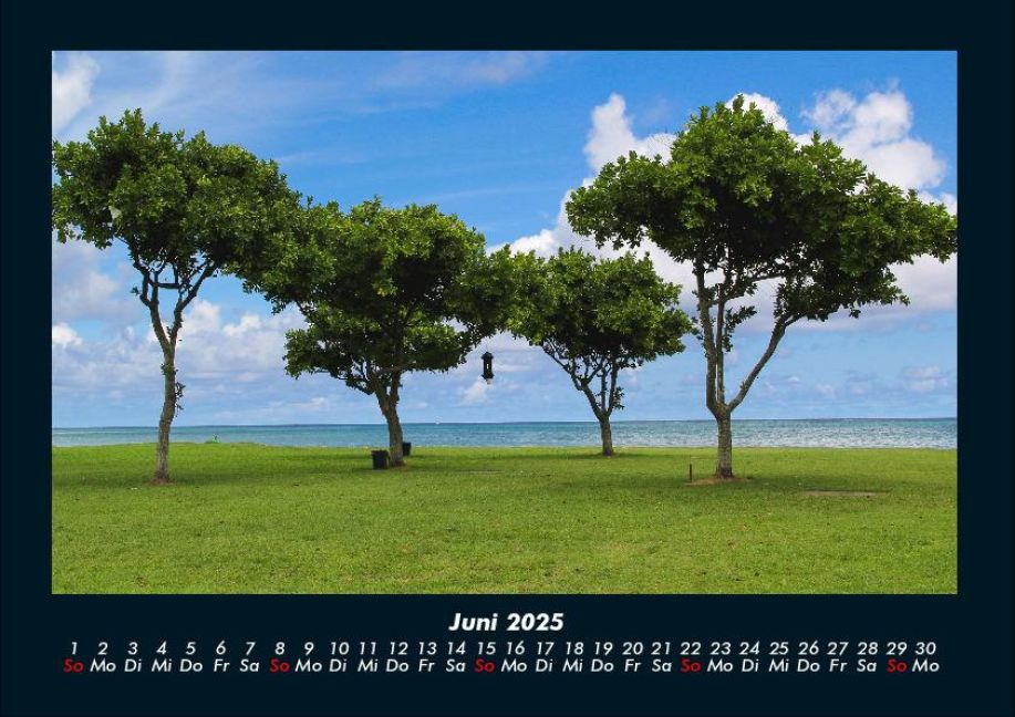 InsideView 10