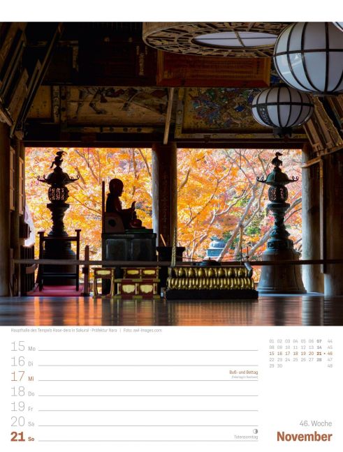 InsideView 50
