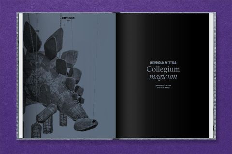 InsideView 2