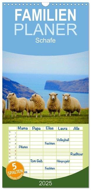 Familienplaner 2025 - Schafe mit 5 Spalten (Wandkalender, 21 x 45 cm) CALVENDO - Elisabeth Stanzer