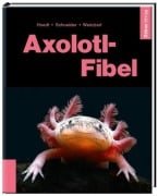 Cover-Bild zum Titel 'Axolotl-Fibel' von 'Werner Hoedt, Maite Schneider, Friederike Weinzierl'