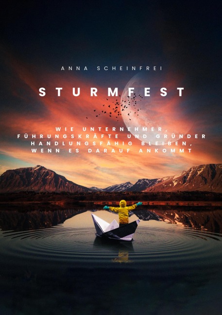 Sturmfest - Anna Scheinfrei