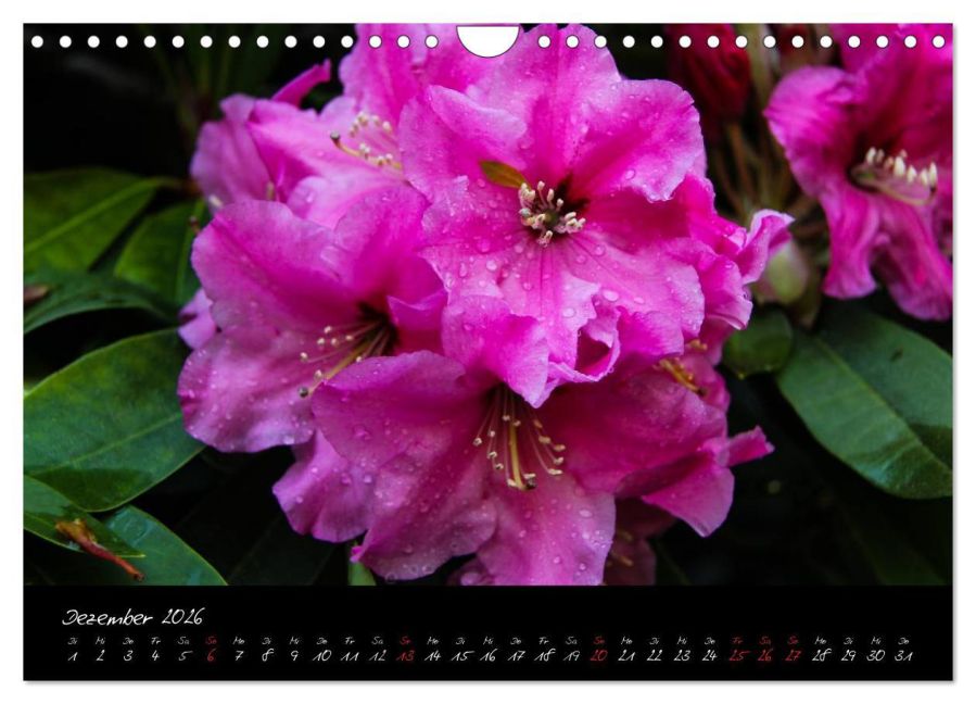 InsideView 4