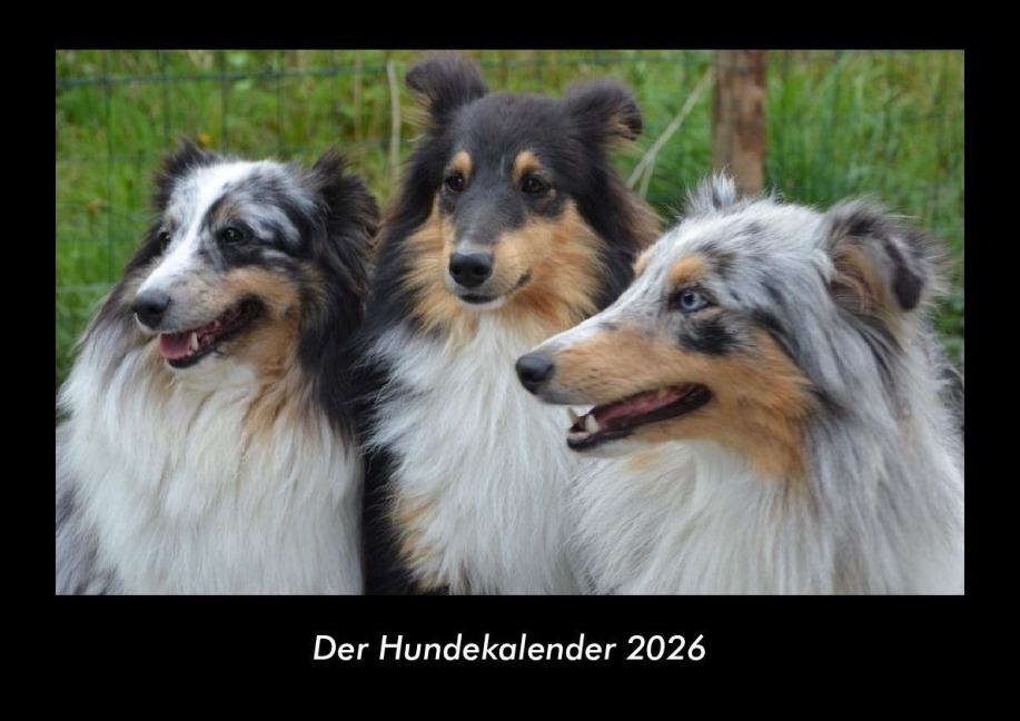 Der Hundekalender 2026 Fotokalender DIN A3 - Tobias Becker