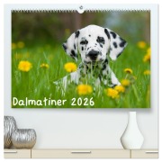 Cover-Bild zum Titel 'Dalmatiner 2026 (hochwertiger Premium Wandkalender 2026 DIN A2 quer), Kunstdruck in Hochglanz' von 'Judith Dzierzawa'
