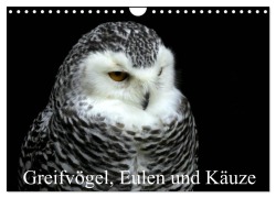 Cover-Bild zum Titel 'Greifvögel, Eulen und Käuze (Wandkalender 2026 DIN A4 quer), CALVENDO Monatskalender' von 'Arno Klatt'