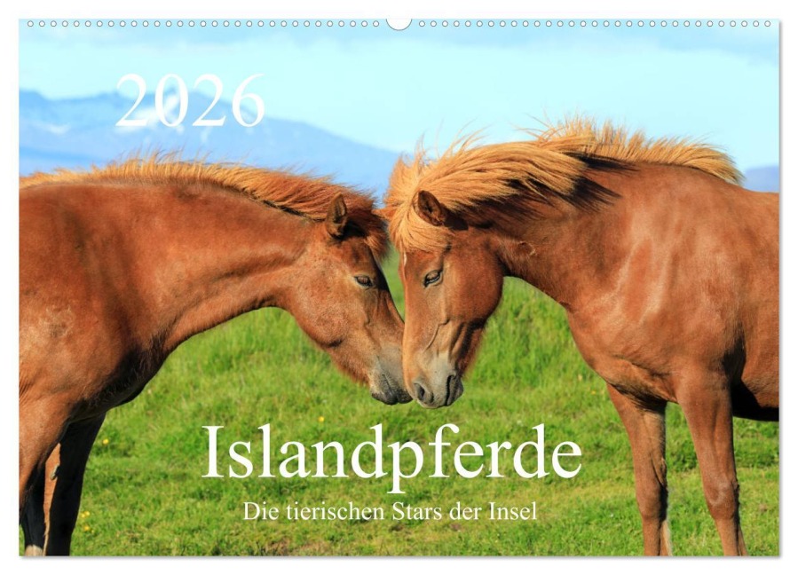 Islandpferde - Die tierischen Stars der Insel (Wandkalender 2026 DIN A2 quer), CALVENDO Monatskalender - Rainer Grosskopf