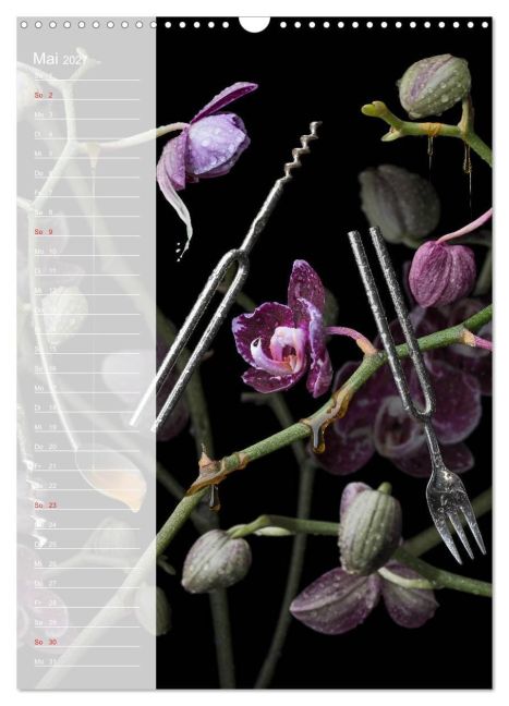 InsideView 10