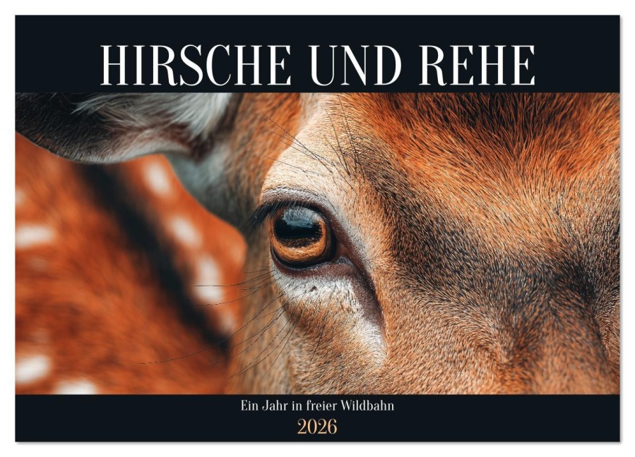HIRSCHE UND REHE - Ein Jahr in freier Wildbahn (Wandkalender 2026 DIN A2 quer), CALVENDO Monatskalender - Mb Fotografie