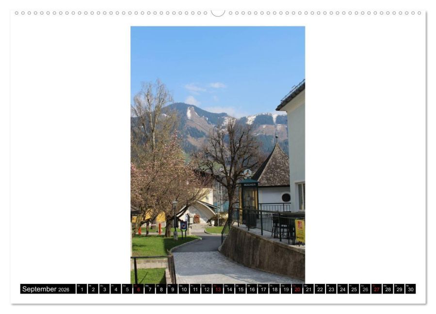 InsideView 13