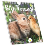 Beste Freunde 2026 - Postkartenkalender 16x17 cm - 