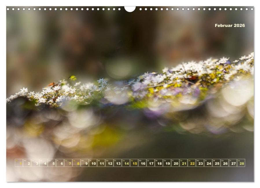 InsideView 7