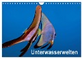 Unterwasserwelten (Wandkalender 2025 DIN A4 quer), CALVENDO Monatskalender - Dieter Gödecker