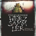 Cover-Bild zum Titel 'Herzsammler (Ein Fabian-Risk-Krimi 2)' von 'Stefan Ahnhem'