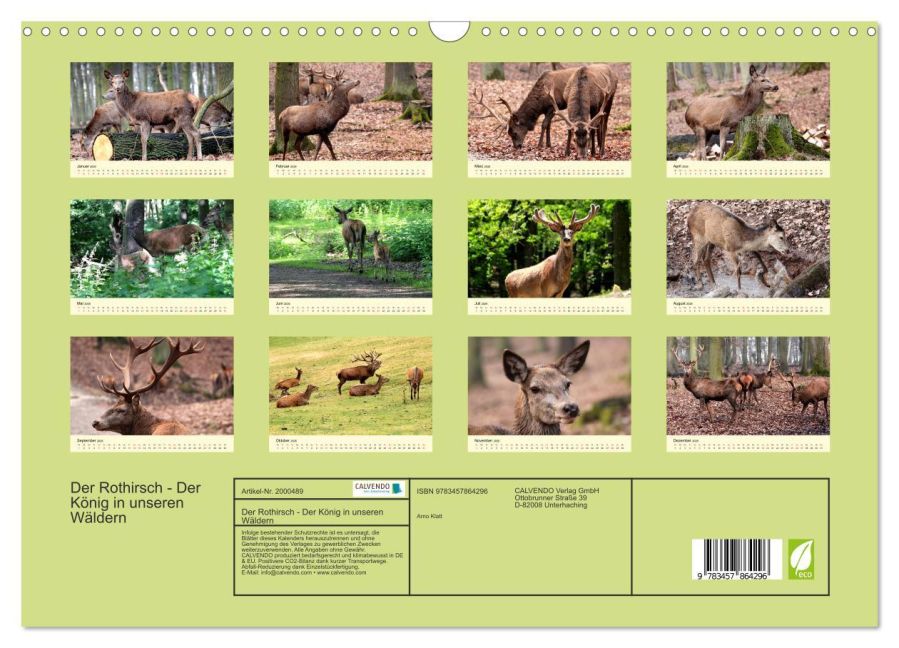 InsideView 5