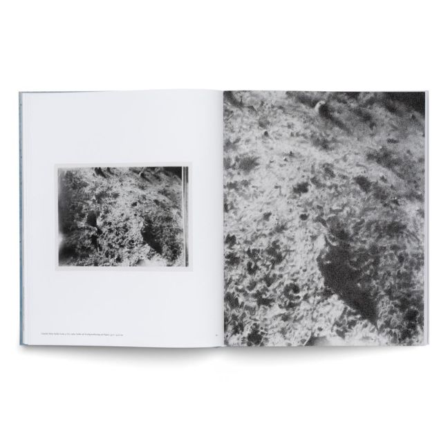 InsideView 20