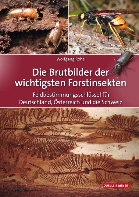 Die Brutbilder der wichtigsten Forstinsekten - Wolfgang Rohe