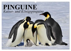 Cover-Bild zum Titel 'Pinguine - Kaiser- und Königspinguine (Wandkalender 2026 DIN A2 quer), CALVENDO Monatskalender' von 'Elisabeth Stanzer'