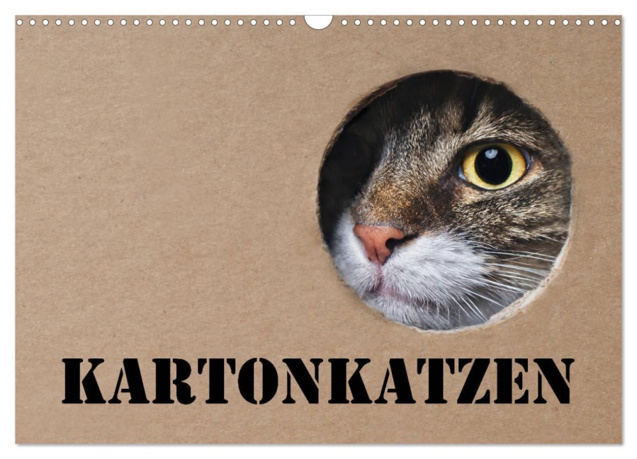 Karton Katzen (Wandkalender 2026 DIN A3 quer), CALVENDO Monatskalender - Thorsten Nilson