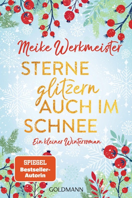 Sterne glitzern auch im Schnee - Meike Werkmeister