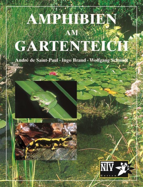 Amphibien am Gartenteich - Andre de Saint-Paul, Ingo Brand, Wolfgang Schmidt