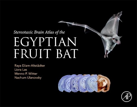 Stereotaxic Brain Atlas of the Egyptian Fruit Bat - Raya Eilam-Altstadter, Liora Las, Nachum Ulanovsky, Menno Witter