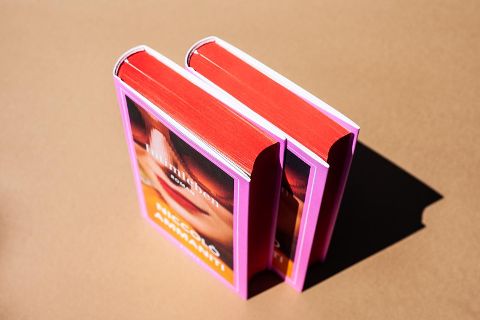 InsideView 2