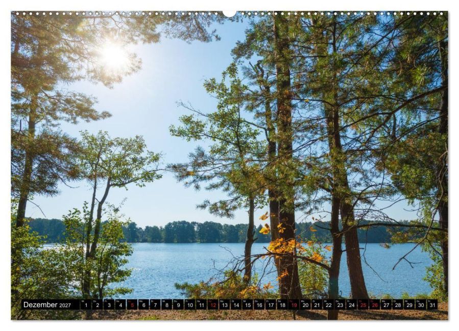 InsideView 4