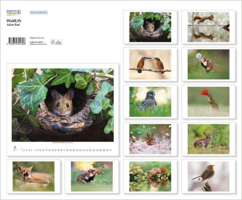 InsideView 13