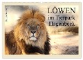 Löwen im Tierpark Hagenbeck (Wandkalender 2025 DIN A2 quer), CALVENDO Monatskalender - Ramona Meißner