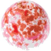 Cover-Bild zum Titel 'Porzellan Kerzenhalter Kugel, Rot-Weiß' von ''