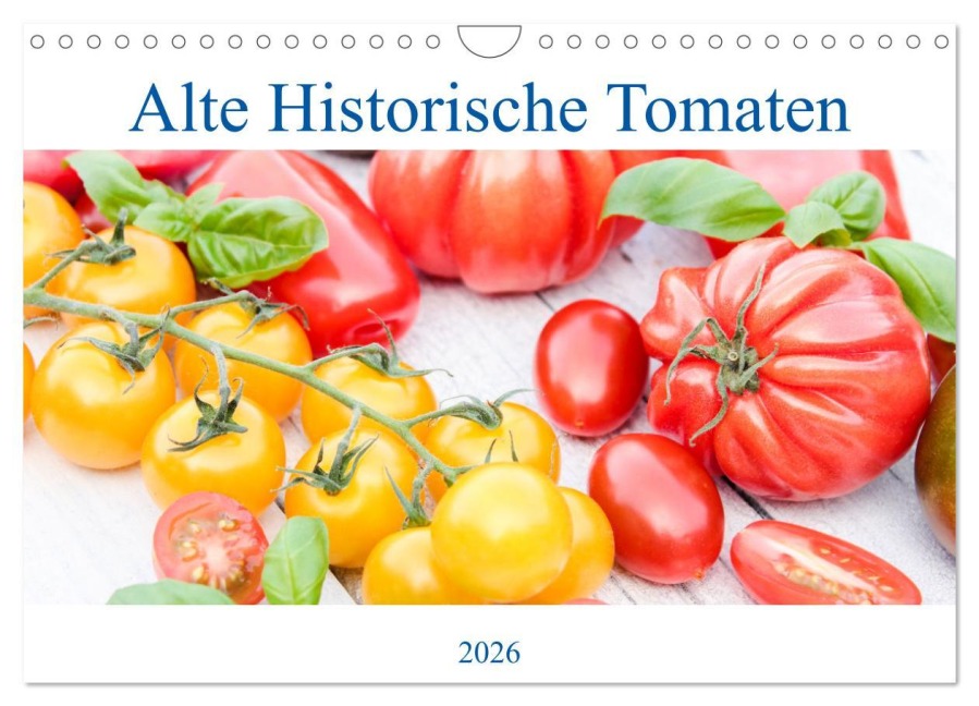 Alte Historische Tomaten (Wandkalender 2026 DIN A4 quer), CALVENDO Monatskalender - EFLStudioArt EFLStudioArt