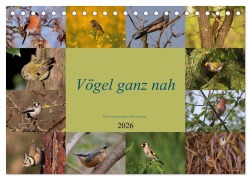 Cover-Bild zum Titel 'Vögel ganz nah (Tischkalender 2026 DIN A5 quer), CALVENDO Monatskalender' von 'Winfried Erlwein'