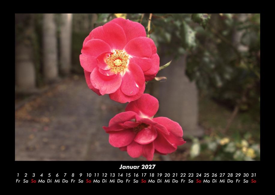 InsideView 5