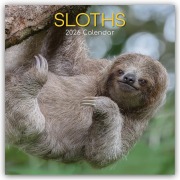Sloths - Faultiere 2026 - 16-Monatskalender - Gifted Stationery Co. Ltd