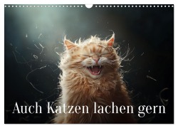 Auch Katzen lachen gern (Wandkalender 2025 DIN A3 quer), CALVENDO Monatskalender - Jürgen Moers