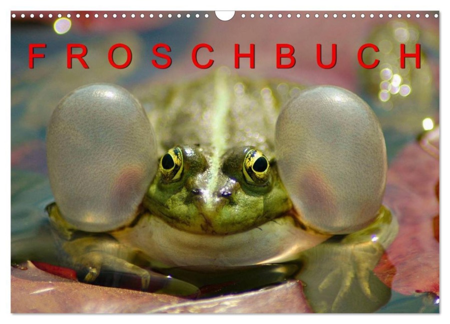 FROSCHBUCH (Wandkalender 2026 DIN A3 quer), CALVENDO Monatskalender - Bogna Mazunov