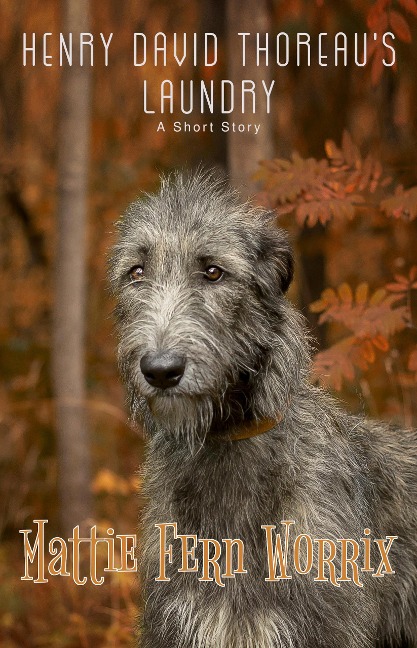Henry David Thoreau's Laundry - Mattie Fern Worrix