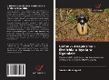 Cover-Bild zum Titel 'Gatunki Anaplasma i Ehrlichia u byd¿a w Ugandzie' von 'Dennis Muhanguzi'