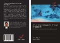 Cover-Bild zum Titel 'Zmieniona strategia dla Amager Strandpark' von 'Christian Lai, Martin Faber'