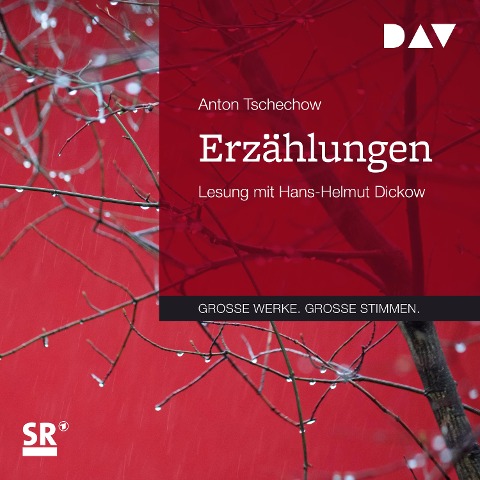 Erzählungen - Anton Tschechow